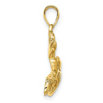 Load image into Gallery viewer, 14K Yellow Gold 2-D Polished and Textured LION FISH Charm Pendant
