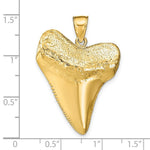 Load image into Gallery viewer, 14K Yellow Gold Solid Polished 3-Dimensional Shark Tooth Pendant
