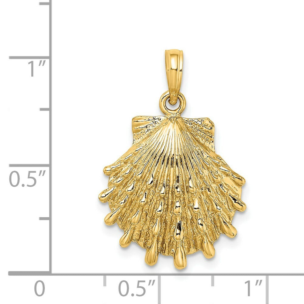 14K Yellow Gold Lions Paw Shell Charm Pendant