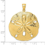 Load image into Gallery viewer, 14K Yellow Gold Polished Large Sand Dollar Charm Pendant
