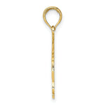 Load image into Gallery viewer, 14K Yellow Gold NAPLES FLORIDA Under Jumping Dolphins Charm Pendant
