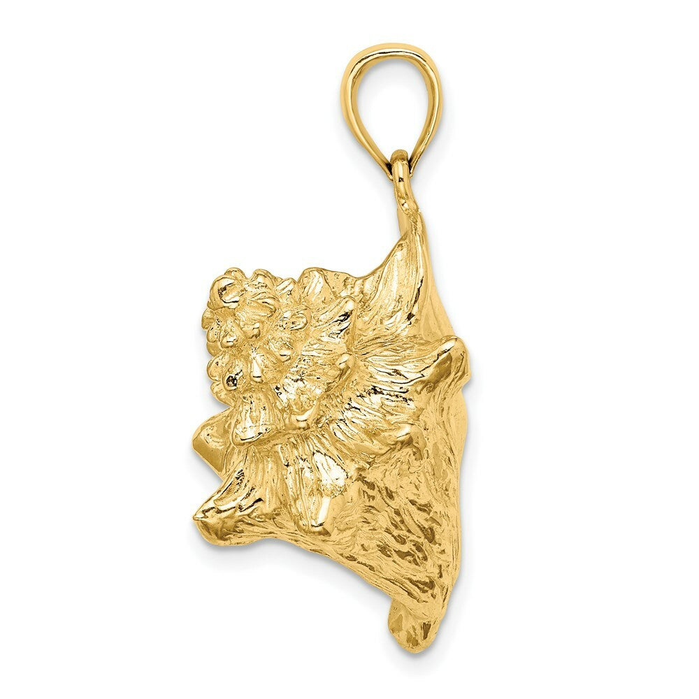 14K Yellow Gold 3-D Conch Shell Charm Pendant