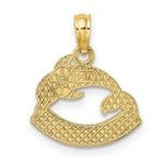 Load image into Gallery viewer, 14K Yellow Gold Textured NAGS Head Banner With Dolphin Charm Pendant
