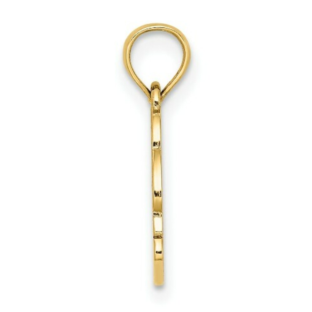 14K Yellow Gold Textured NAGS Head Banner With Dolphin Charm Pendant