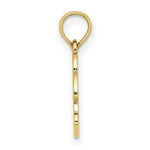Load image into Gallery viewer, 14K Yellow Gold Textured NAGS Head Banner With Dolphin Charm Pendant
