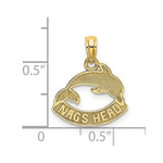 Load image into Gallery viewer, 14K Yellow Gold Textured NAGS Head Banner With Dolphin Charm Pendant
