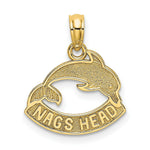 Load image into Gallery viewer, 14K Yellow Gold Textured NAGS Head Banner With Dolphin Charm Pendant
