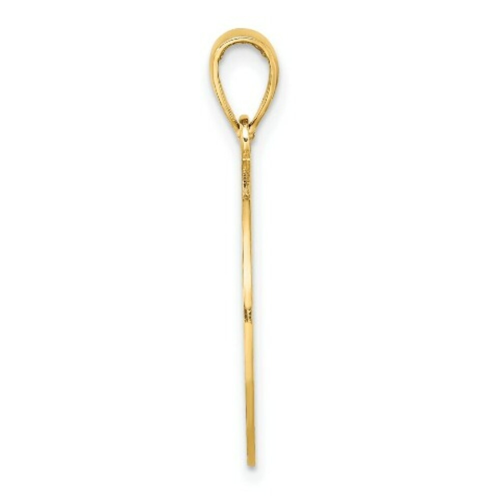 14K Yellow Gold St. George Island Disk With Dolphins Charm Pendant