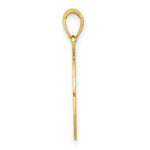 Load image into Gallery viewer, 14K Yellow Gold St. George Island Disk With Dolphins Charm Pendant
