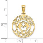 Load image into Gallery viewer, 14K Yellow Gold St. George Island Disk With Dolphins Charm Pendant
