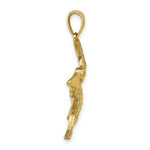 Load image into Gallery viewer, 14K Yellow Gold 2-D Flying Pelican Charm Pendant
