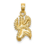 Load image into Gallery viewer, 14K Yellow Gold Textured Starfish Charm Pendant
