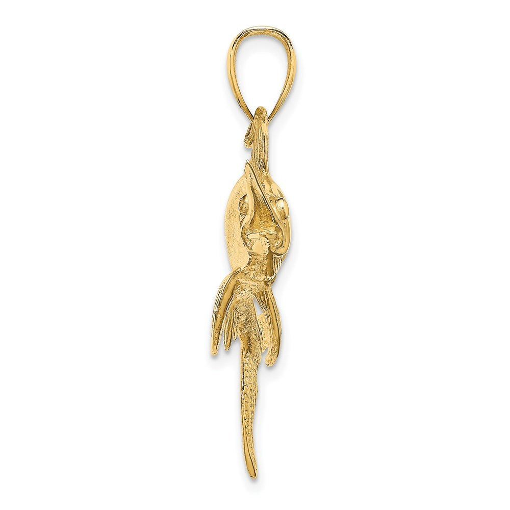 14K Yellow Gold 2-D Polished and Satin Swordfish Charm Pendant