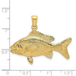 Load image into Gallery viewer, 14K Yellow Gold 3-D Textured RED SNAPPER FISH Charm Pendant
