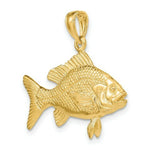 Load image into Gallery viewer, 14K Yellow Gold 3-D Textured RED SNAPPER FISH Charm Pendant
