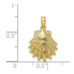 Load image into Gallery viewer, 14K Yellow Gold Lion's Paw Shell Charm Pendant
