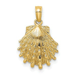 Load image into Gallery viewer, 14K Yellow Gold Lion's Paw Shell Charm Pendant
