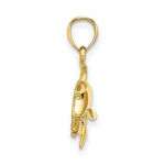 Load image into Gallery viewer, 14K Yellow Gold Textured &amp; Polished Dolphin Jumpin Charm Pendant
