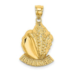 Load image into Gallery viewer, 14K Yellow Gold 2-D Bahamas Under Conch Shell Charm Pendant
