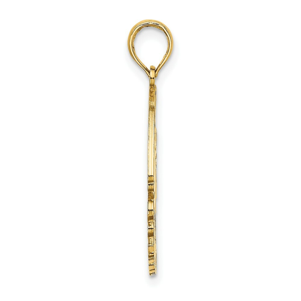 14K Yellow Gold Polished CURACAO Under Angelfish Charm Pendant