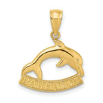Load image into Gallery viewer, 14K Yellow Gold 2-D &amp; Polished BARBADOS Under Dolphin Charm Pendant
