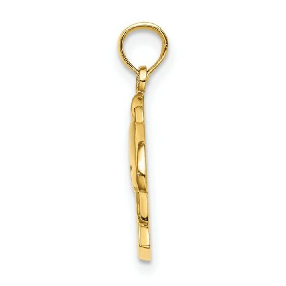 14K Yellow Gold 2-D CURACAO Under Polished Dolphin Charm Pendant
