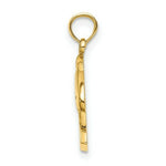 Load image into Gallery viewer, 14K Yellow Gold 2-D CURACAO Under Polished Dolphin Charm Pendant
