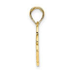 Load image into Gallery viewer, 14K Yellow Gold SAN DIEGO Banner Under Dolphins Charm Pendant

