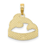 Load image into Gallery viewer, 14K Yellow Gold SAN DIEGO Banner Under Dolphins Charm Pendant
