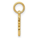 Load image into Gallery viewer, 14K Yellow Gold Solid Polished Chinese Long Life Charm
