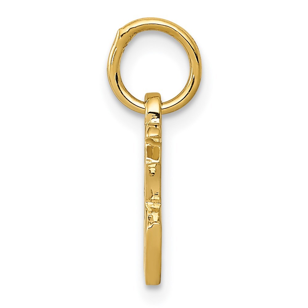 14K Yellow Gold Chinese Symbol Good Luck Charm