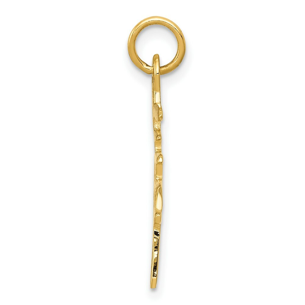 14K Yellow Gold Solid Polished Chinese Long Life Charm