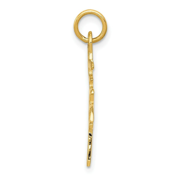 14K Yellow Gold Solid Polished Chinese Long Life Charm