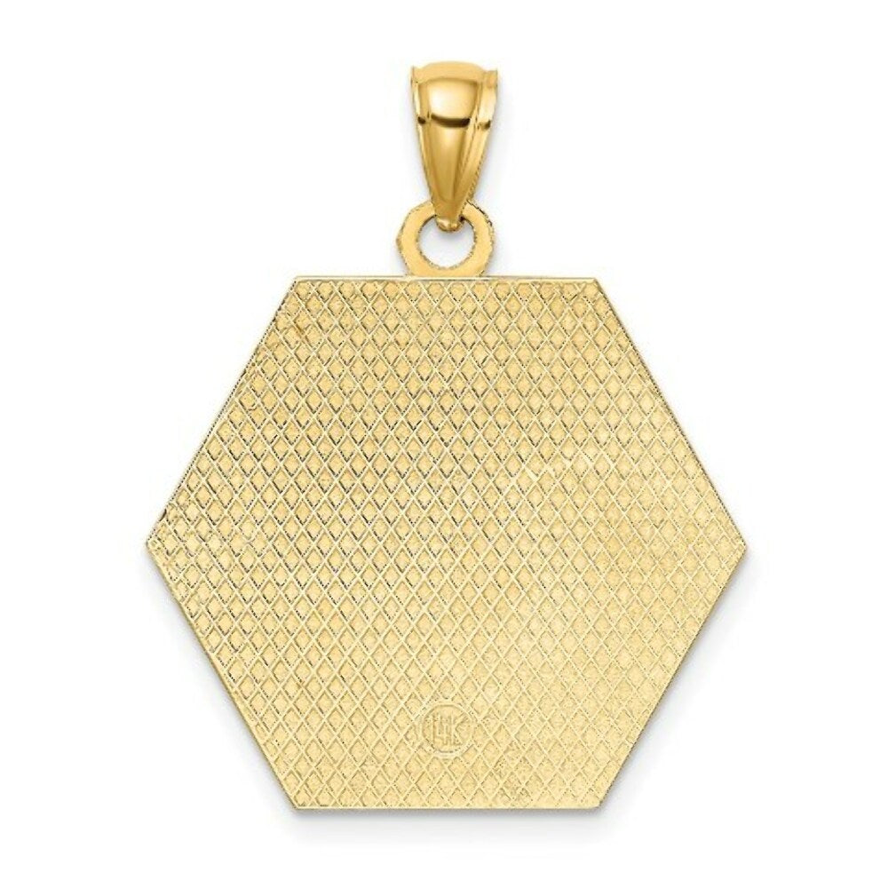 14K Yellow Gold Textured Back Cadudeus MEDICAL DISC