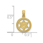 Load image into Gallery viewer, 14K Yellow Gold Engraved Star Of David In Circle Charm Pendant
