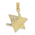 Load image into Gallery viewer, 14K Yellow Gold 2-D &amp; Polished Jewish Star Of David With Chai Charm Pendant
