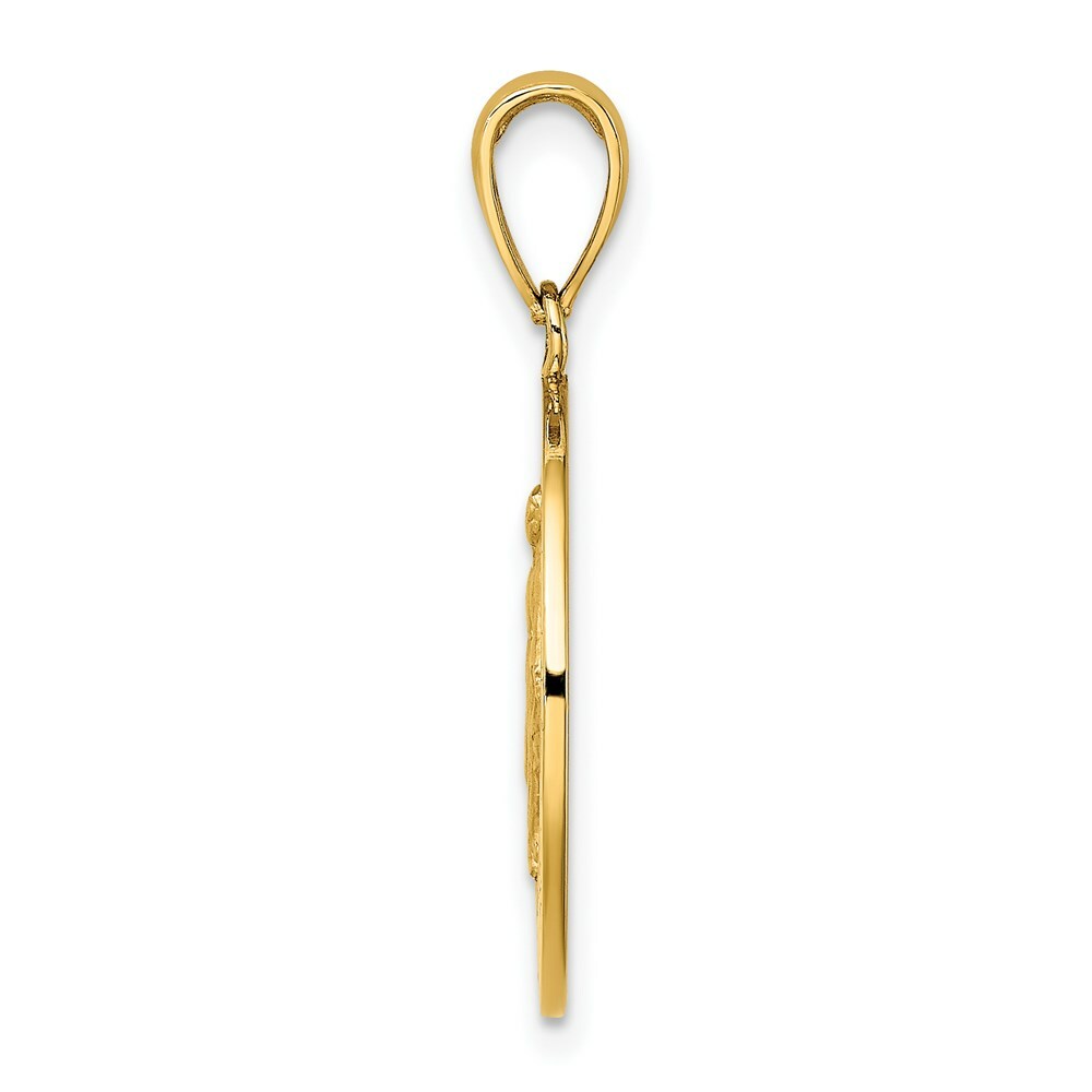 14K Yellow Gold Polished and Satin Miraculous Medal Charm Pendant