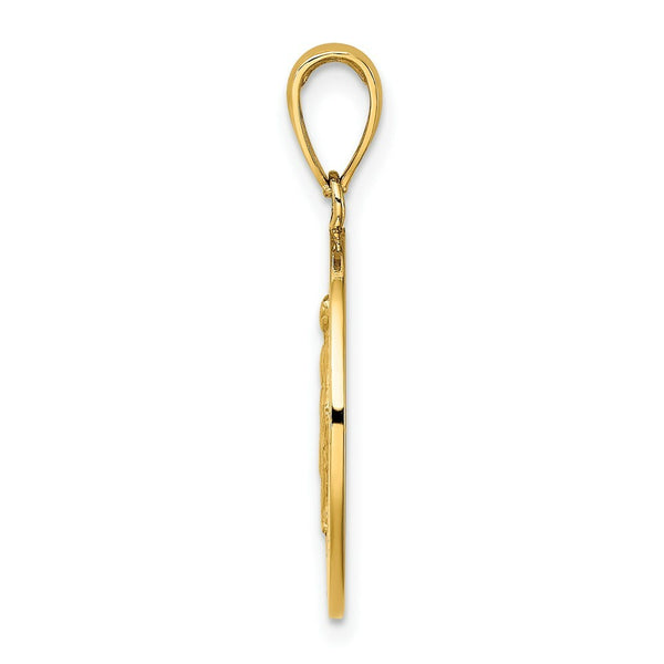 14K Yellow Gold Polished and Satin Miraculous Medal Charm Pendant