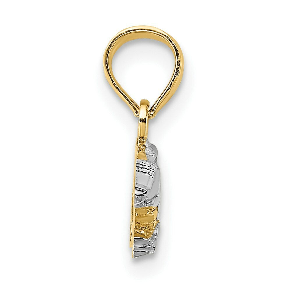 14k Two-Tone Gold 2-D Alligator Charm Pendant