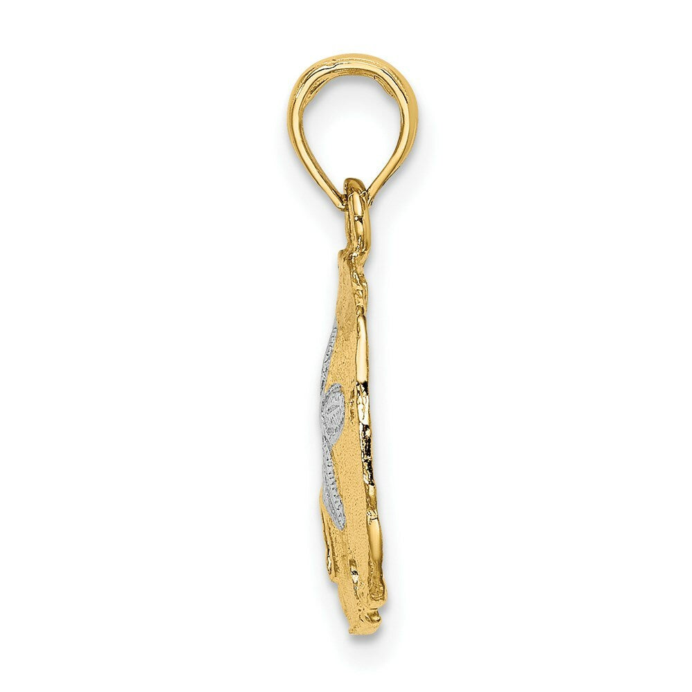 14K Yellow Gold with White Rhodium with Polished SAND DOLLAR Charm Pendant