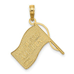 Load image into Gallery viewer, 14K Yellow Gold with White Rhodium American Flag Charm Pendant
