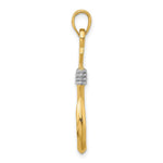 Load image into Gallery viewer, 14k Yellow Gold and White Rhodium 3-D Fish Hook With Rope Charm Pendant
