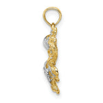 Load image into Gallery viewer, 14K Yellow Gold with White Rhodium 2-D with Textured Octopus Charm Pendant
