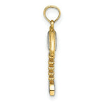 Load image into Gallery viewer, 14k Yellow Gold and White Rhodium 3-D FISHBONE Charm Pendant
