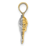 Load image into Gallery viewer, 14K Yellow Gold with White Rhodium 3-D Reversible Puffed Dolphin Charm Pendant
