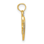 Load image into Gallery viewer, 14k Yellow Gold and White Rhodium Textured Dragonfly Charm Pendant

