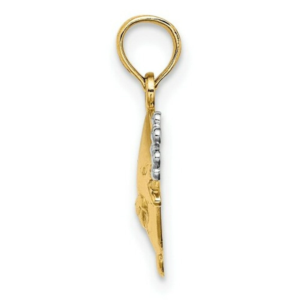 14K Yellow Gold 2-D Fish with Bubbles Charm Pendant