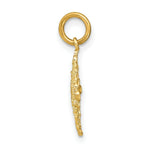 Load image into Gallery viewer, 14K Yellow Gold with White Rhodium with Diamond-cut Filigree Medallion Charm Pendant
