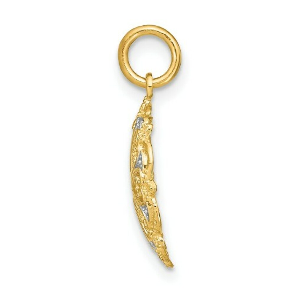 14K Yellow Gold with White Rhodium with Diamond-cut Filigree Heart In Round Frame Charm Pendant