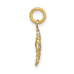 Load image into Gallery viewer, 14K Yellow Gold with White Rhodium with Diamond-cut Filigree Medallion Charm Pendant
